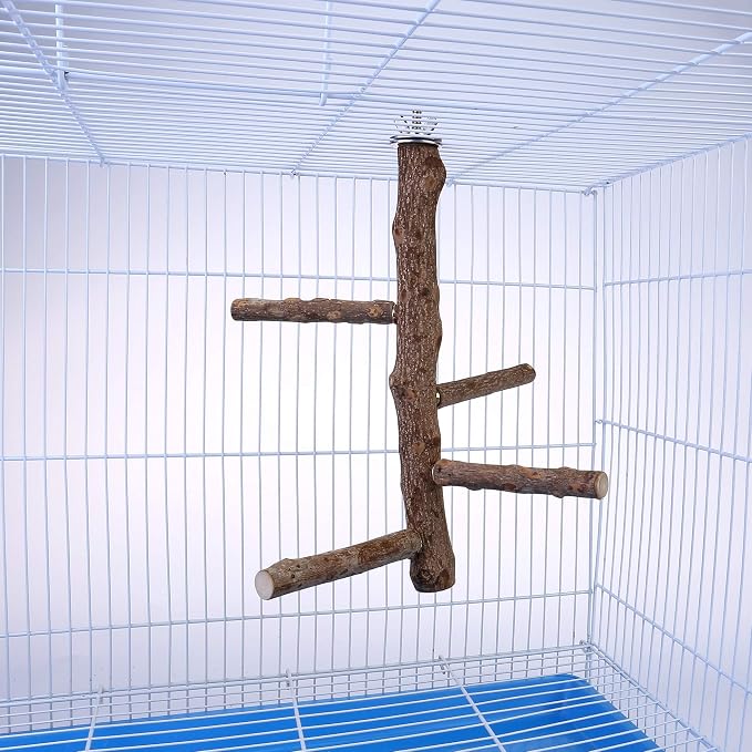 Bird Perch Stand Toy Natural Wood Bird Cage Branch Perch 10 Inch | Natural Wood Perch Stand w/ 4 Branches Bird Cage Inside Accessories Bird Toy for Parakeet Cockatiel Conure Finches Love Birds