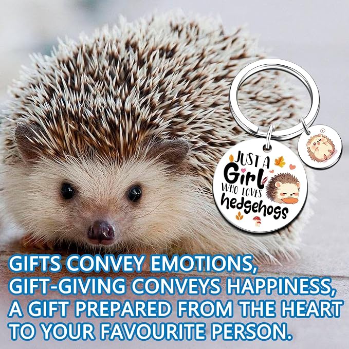 Hedgehog Accessories Hedgehog Gifts For Women Girls | Hedgehogs Keychain Jewelry Animal Lover Gift Hedgehogs Birthday Decorations Samll Gifts For Teen Girls Christmas Gift