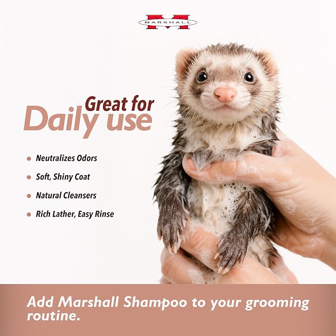 Marshall Pet Products Ferret Shampoo - Original Formula with Baking Soda, 8 oz - Gentle Cleaning, Odor Control, and Long-Lasting Freshness for Ferret Coats