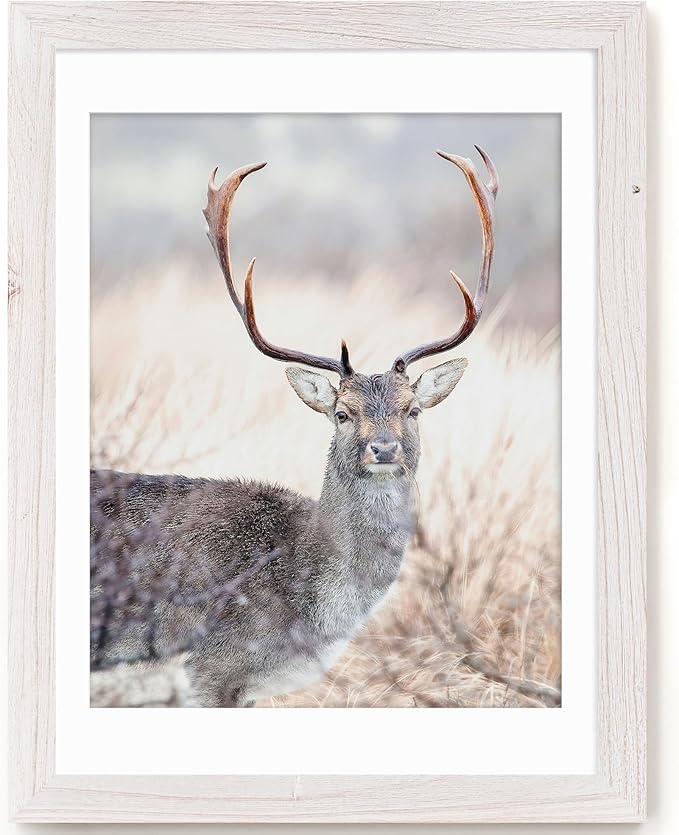 18x24 Picture Frame, Solid Elm Wood Picture Frame with Real Glass, Large Rustic Poster Frame 18"x24", matted to 16x20, 18 by 24 Wooden Frame for Vertical & Horizontal Wall Hanging, White, 1 Pack