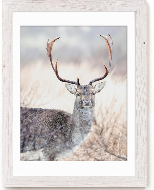 18x24 Picture Frame, Solid Elm Wood Picture Frame with Real Glass, Large Rustic Poster Frame 18"x24", matted to 16x20, 18 by 24 Wooden Frame for Vertical & Horizontal Wall Hanging, White, 1 Pack