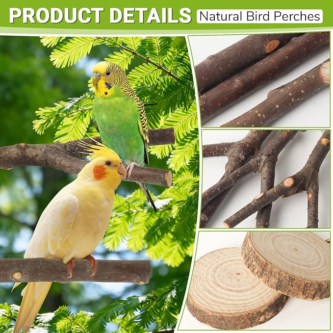 8 Pack Natural Wood Bird Perches for Cage, Wooden Parrot Perch | Wooden Parrot Stand Platforms, Hardwood Branches, Climbing & Chew Toy for Bird Cage Accessories, Ideal for Parakeets, Budgies