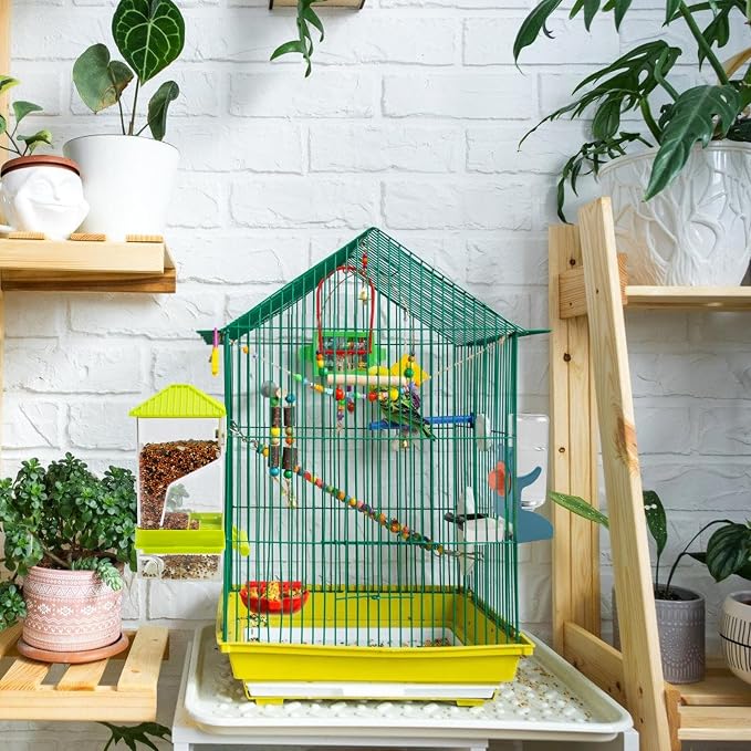 Rypet No-Mess Bird Feeder and Water Dispenser Set for Small Birds | Automatic Bird Feeder, Transparent Acrylic Food Container, Helps Reduce Seed Scatter, for Parakeet Cockatiel Parrot Canary