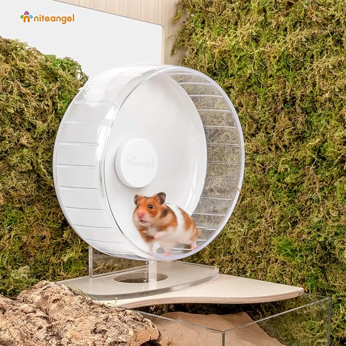Niteangel Super-Silent Hamster Exercise Wheels: Quiet 10 inch Running Wheel | Can 10.6-13.4" Adjustable Height - No Bend Back Spinner Running for Dwarf Syrian Hamster Gerbils Mice Or Other Small Animal