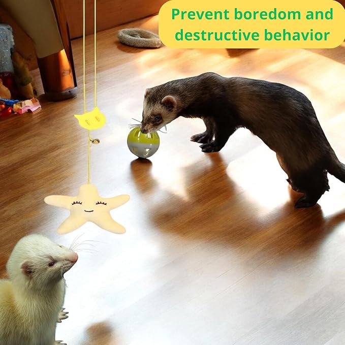 Interactive Bell Ball and Hanging Toy for Ferret, Star Hanging Toys and Interactive Balls for Ferrets Cat Small Dogs, Ferret Enrichment Toys, Ferret Accessories, Small Pet Gifts (Orange - Star)