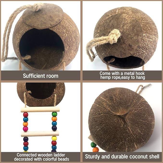 Hanging Coconut Birds House with Ladder, Natural Coconut Bird Nest | Coconut Hide Birds Swing Toys for Parrot Parakeet Lovebird Finch Canary for Hamster, Bird Cage Accessories, Pet Bird Supply