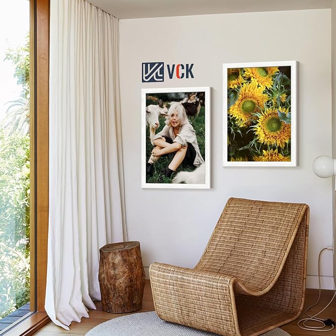VCK 22x28 Picture Frames white Set of 6, Wide Border Wood Poster Frame, Multi-Directional Display Family Photos, Office Prints, Studio/Gallery Art, Woodgrain Series, Wall Hanging