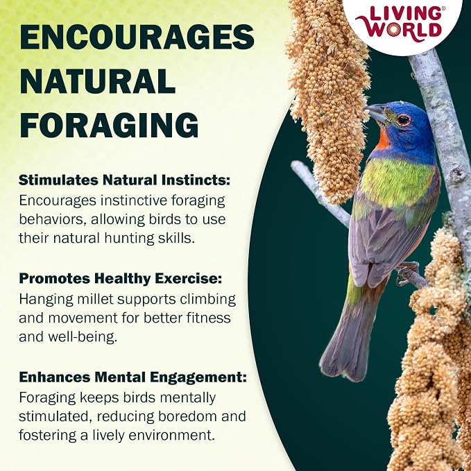 Living World - Millet Spray for Birds, 7 Oz