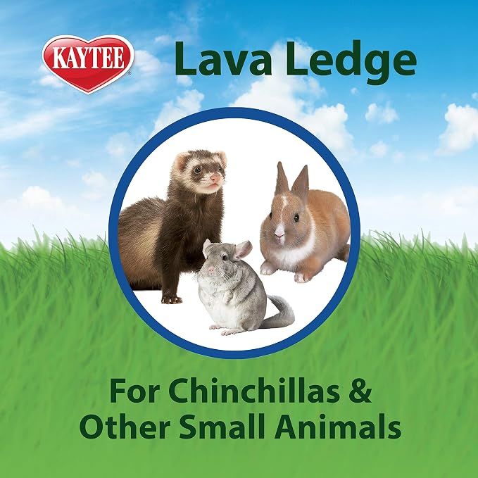 Kaytee Lava Ledge for Attaching to Small Pet Animal Wire Habitats (Pack of 2)