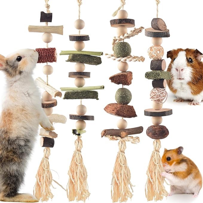 DBNESS 4 Pcs Bunny Chew Toys for Teeth, Hanging Rabbit Chewing Toy Treats with Timothy Grass & Natural Apple Wood, Improve Small Rodent Dental Health for Guinea Pig Hamster Chinchilla Rat Gerbil