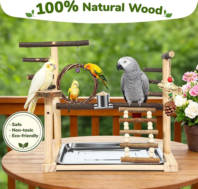 Bird Playground Wooden Parrot Stand for Small to Medium Birds | Feeding Cup, Apple Branch Swing, Chew Toys, Removable Tray, Ideal for Budgerigars, Parakeets, Cockatiels