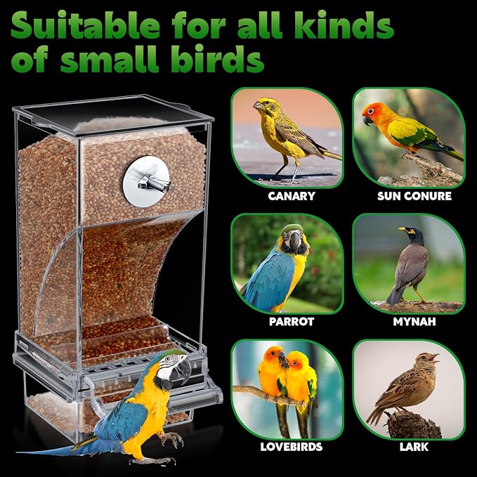 Yaomiao 4 Pcs No Mess Small Bird Feeders Automatic Parakeet Water Dispenser Clear Quail Feeder and Watered Cage Accessories for Small and Medium Parakeet Cockatiel Canary(Seed Feeder,Transparent)