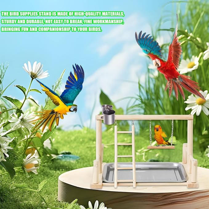 Bird Playground, Natural Wood Bird Perch Stand with Removable Tray and 2 Stainless Steel Feeder Cups, Parrot Playstand Bird Cage Toys for Conure Parakeet Cockatiel Parrot (B)