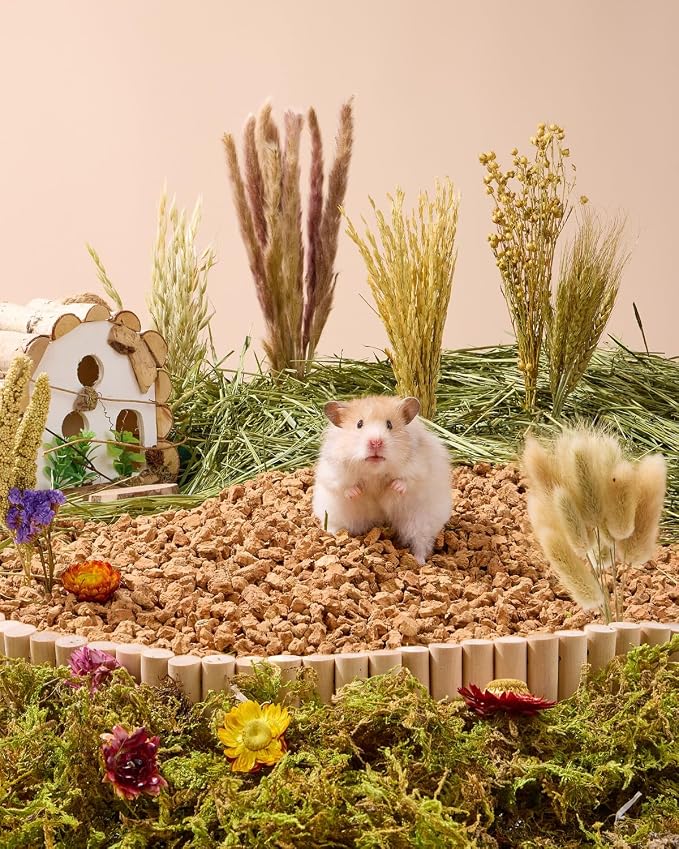 BUCATSTATE 60PCS Natural Hamster Bedding | Flowers & Herbs & Sprays for Cage Habitat Decor - Treat Cereal Grain for Dwarf Syrian Gerbils, Mice, Rat, Forage, Enrichment.
