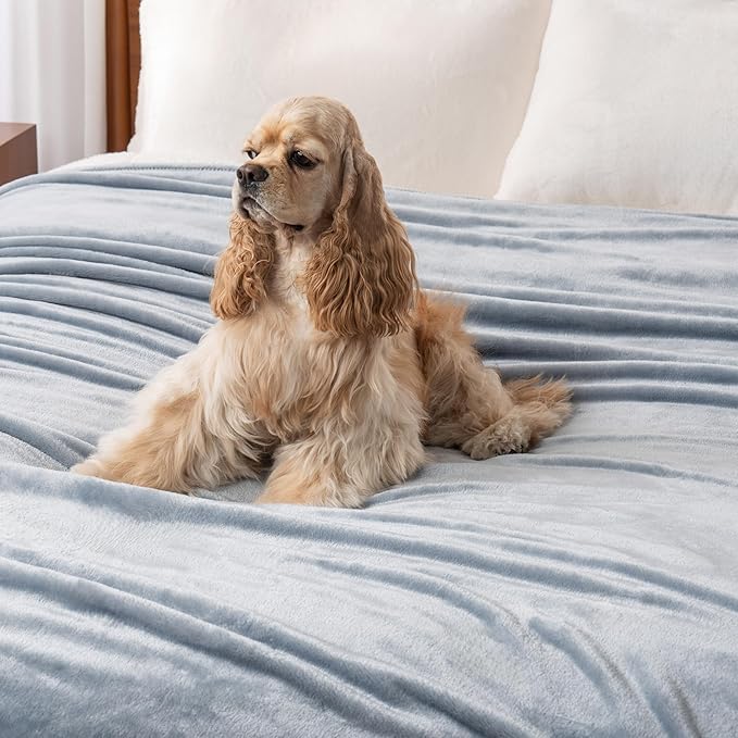 Berkshire Blanket Classic VelvetLoft® Solid Throw Blanket, Lightweight Soft Fuzzy Plush Throw Blanket for Bed and Couch, Polar Blue, 50x60 Inches