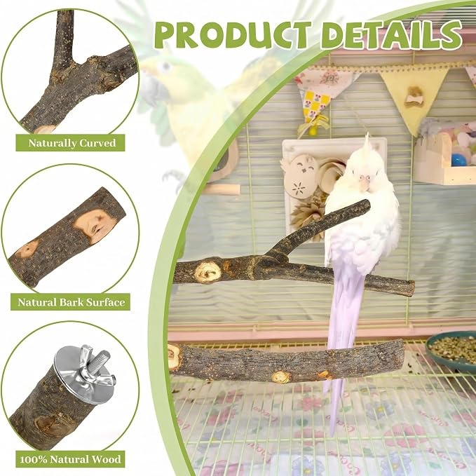 5 Pcs Natural Wood Bird Perch Stand Set for Bird Cages | Ideal for Small/Medium Birds (Budgies, Conures) | Bark Textures for Foot Health | Tool-Free Wing-Nut | Safe Chewing