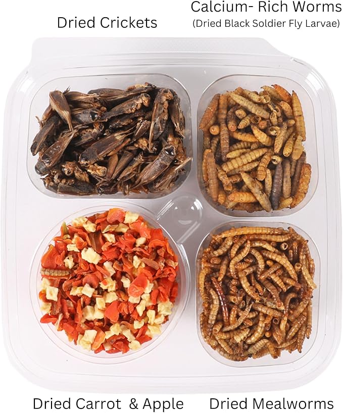 Hedgehog Treat Variety Pack - Healthy Natural Treat Sampler - Mealworms, Black Soldier Fly Larvae, Crickets, Apples, Carrots - Value Package