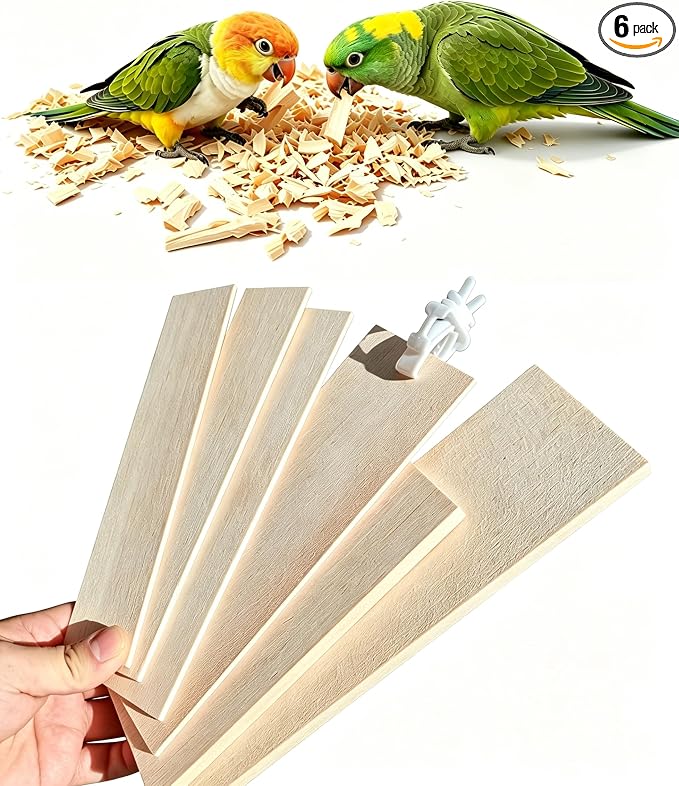 Large Untreated Balsa Wood Bird Chew Toys 6 Pack with Mount Clip, Multi Size Thick Wood Slice Perch Foraging Toy for Parakeets Conures Cockatiels Lovebirds Small Medium Parrots