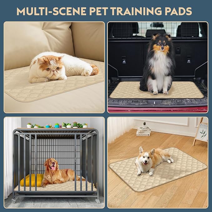 FunFurry Washable Pee Pads for Dogs - 2 Pack Reusable Waterproof Puppy Training Pads, Super Absorbent with Dog Paw Shape Non-Slip Backing (Cream, 36" X 36" - 2 Pack)