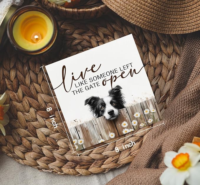 Border Collie Signs - Farm Cottagecore Animal Office Kitchen Bedroom Decor,Rustic Farmhouse Live like Someone Left the Gate Open Home Decor Wooden Signs,Border Collie Gifts for Women,8x8