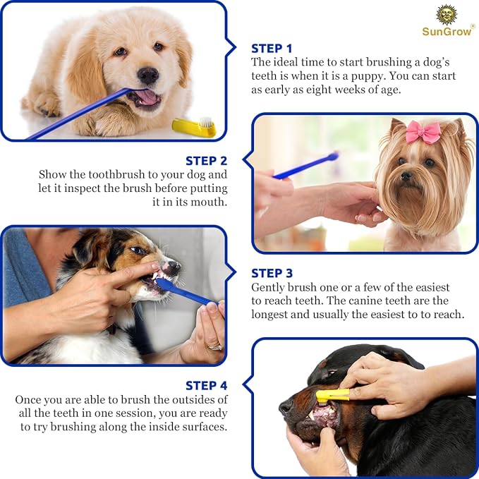 SunGrow Dog & Ferret Toothbrush Set of 4, 2 Long Dual-Headed and 2 Finger Brush, Blue and Yellow, Puppy, Cat, and Small Breed Dog, 9-Inches and 2.5-Inches
