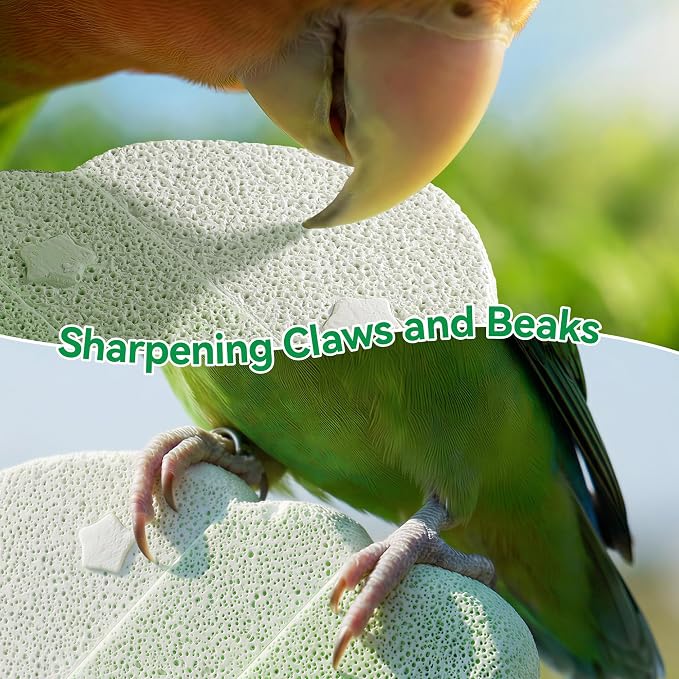 2 Pack Bird Beak Grinding Stone, Parrot Perch for Cage Volcanic Rock Mineral Bird Perch, Parrot Cage Accessories for Parakeets Budgies Cockatiels, Lovebirds Small to Medium Birds