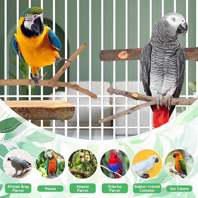 4 Pack Large Natural Wood Bird Perch Stand with Platform for Cage