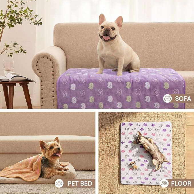 Luciphia 3 Pack Cute Cat Blankets Cozy Small Throw for Pet Puppy,30"x20" | Fuzzy Flannel Small Pet Blanket Washable, Cute Cat Print for Crate Car Bed. Puppy Essential,Cat Stuff Gifts,Medium