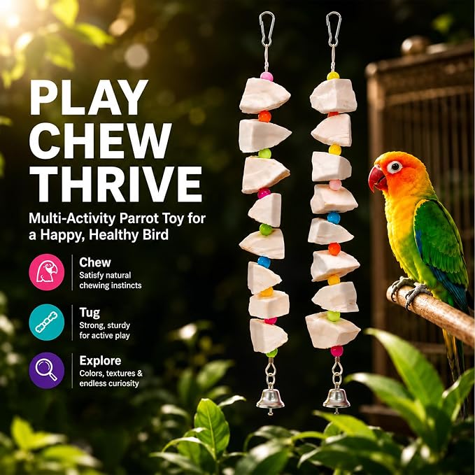 2 Pack Bird Toys with Cuttlebone & Beak Grinding Stone–Cage Accessories for Parakeets, Budgies, Cockatiels, Lovebirds, Green Cheeks & Small to Medium Birds