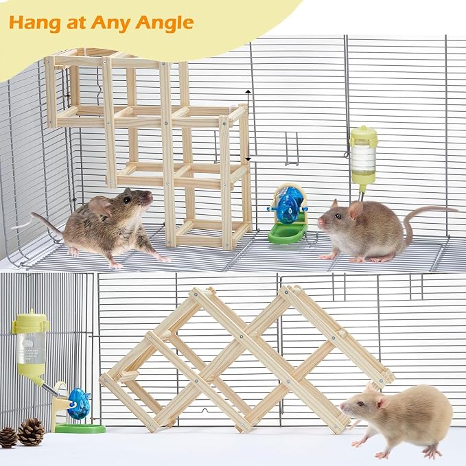 Kiln-Dried Wood Rat Climb Toy, Hanging Cage Ladder Activity (M, 2pcs) | Natural Rat Cage Bridge, Multiple Openings & Directional Ramps Offer Challenges to Satisfy Rats' Instincts for Explore & Play