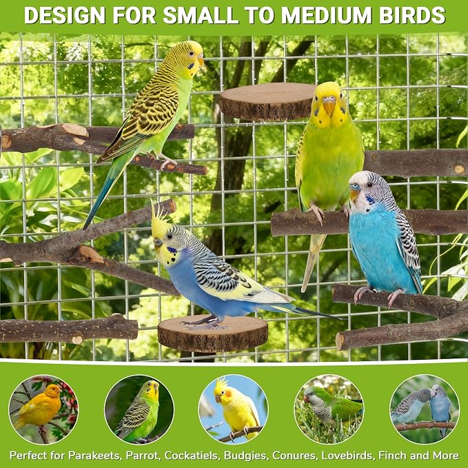 8 Pack Natural Wood Bird Perches for Cage, Wooden Parrot Perch | Wooden Parrot Stand Platforms, Hardwood Branches, Climbing & Chew Toy for Bird Cage Accessories, Ideal for Parakeets, Budgies