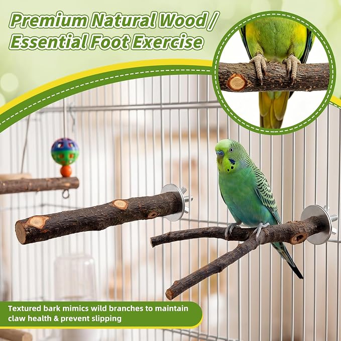 8 Pcs Natural Wood Bird Toys & Perches Set for Cages | Ideal for Small/Medium Parrots (Budgies, Conures) | Birch Ladder, Swing and Foraging Items for Cage Gym | Tool-Free Mount