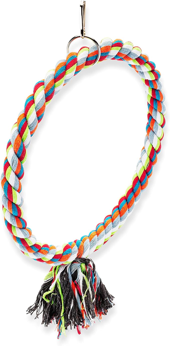 Spoiled Pet® Medium Bird Rope Perch Circle Swing Toy Multicolor 8 Inch | Natural cotton & steel rod cage accessory for Cockatiel Conure, Safe to climb, chew, relieve boredom, with metal quick link