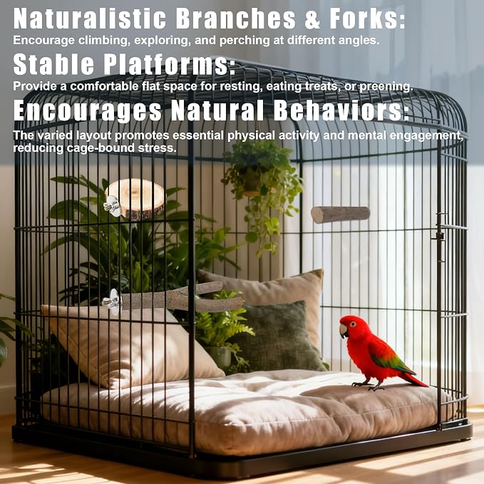 6 PCS Bird Perch Set | Natural Birch Wood, Straight & Forked Perches with Platforms, For Parakeets, Cockatiels, Conures, Lovebirds, Cage Accessories