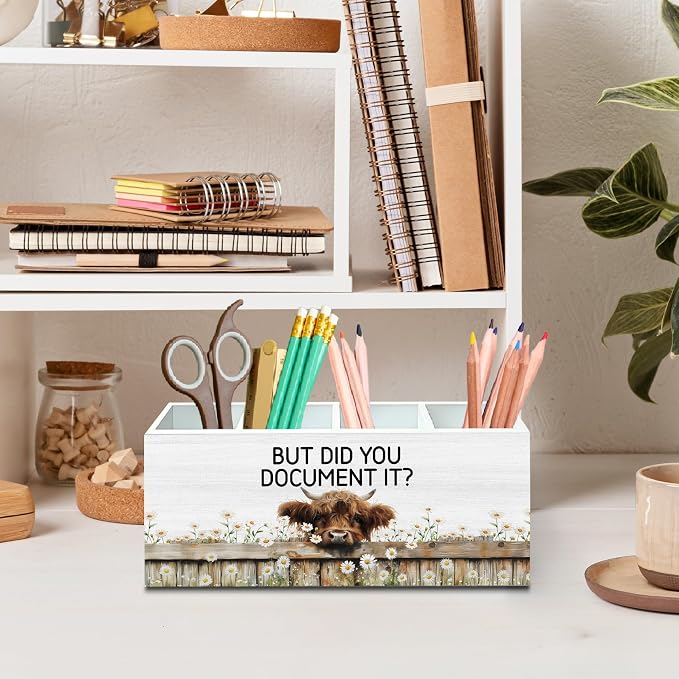 DILSJ Funny Highland Cow Office 4 Compartment Pen Pencil Holder for Desk | Funny Coworkers Work Humor Gifts, But Did You Document It Wooden Box Signs Organizer for Home Office Desk Tabletop Decoration