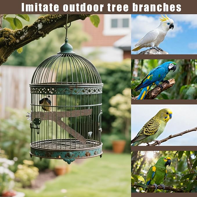 8 PCS Bird Perch Set | Natural Birch Wood, Straight & Forked Perches with Platforms, For Parakeets, Cockatiels, Conures, Lovebirds, Cage Accessories