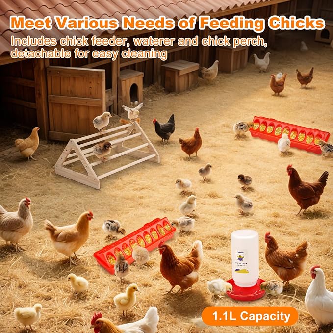 Pawaboo 6-in-1 Chicken Brooder Box for Chick Starter Kit | Includes Pet Cage Tent, Brooders Heating Plate, Chicks Perch, Feeder and 1.1L Chick Waterer, Chicks Supplies