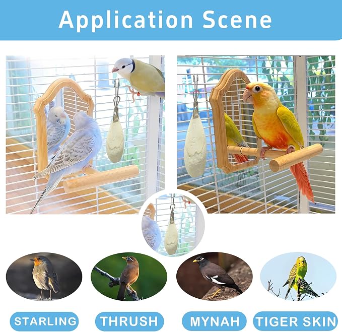 Bird Cuttlebone for Parakeets, Cuddle Bone, Birds Calcium, 3.5"-4", 4 Pcs | Cuttlefish Bone for Sharp Beaks, Natural Calcium for Parrots Cockatiels Budgie Tortoise