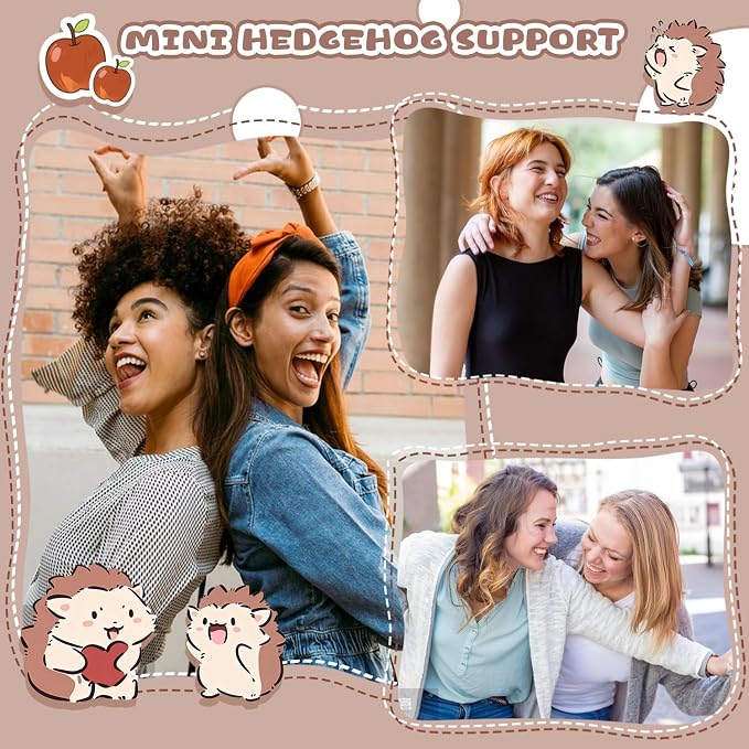 Mini Cute Hedgehog Gifts, Best Friend Friendship Gifts for Women Men | Crochet Hedgehog Cute Decor Inspirational Gift for Adult Coworker Friend