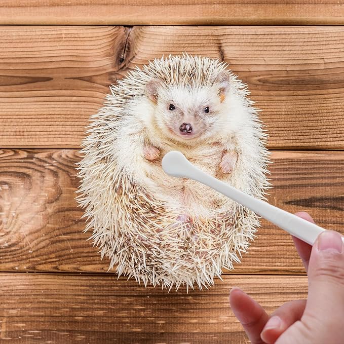 Mini Pet Toothbrush Mini Head Soft Bristles Gentle Pet Toothbrush for Small Pets Dental Care Hedgehog Rat Ferret Grooming Accessories (2PC)