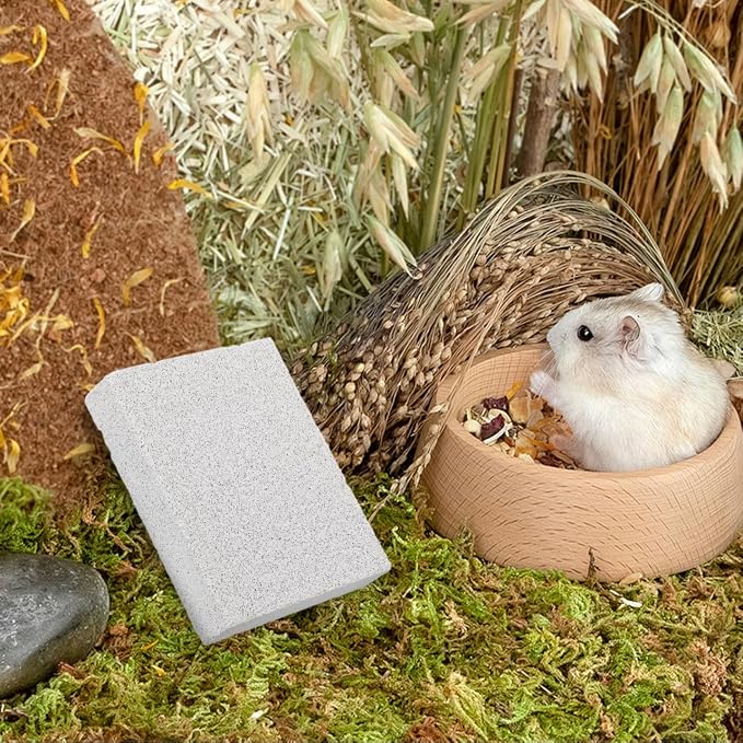 Toddmomy Rabbit Scratching Pad: Natural Lava Pumice Stone Claw & Teeth Grinding Pad for Hamster Guinea Pig Gerbil Small Pet Cage Accessories