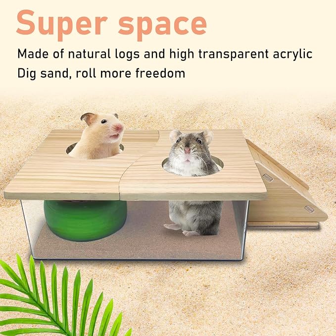 PINVNBY Hamster Sand Bath Box, Transparent Acrylic Shower, Gerbils Digging Room Container with Climbing Ladder and Ceramic Bowl, Litter Box for Hamsters Guinea Pigs Mice (Two Hole)