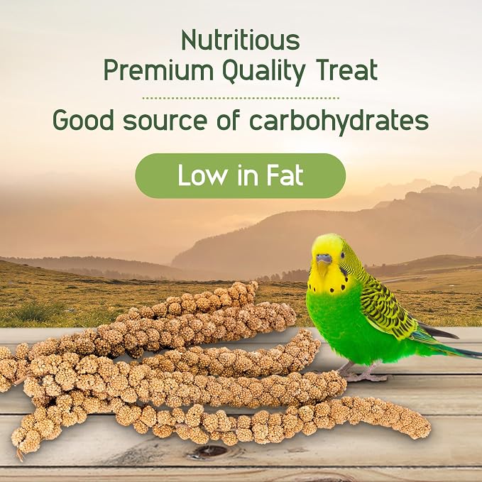 Living World Millet Spray for Birds, 17.6 Oz | Premium Treat for Budgies, Canaries, Finches, Cockatiels and Other Pet Birds