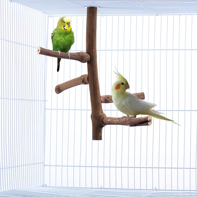 Bird Perch Stand Toy Grapevine Wood Bird Cage Branch Perch 10 Inch | Natural Grapevine Wood Perch Stand 4 Branches Bird Cage Inside Accessories Bird Toy for Parakeet Cockatiel Conure Finches