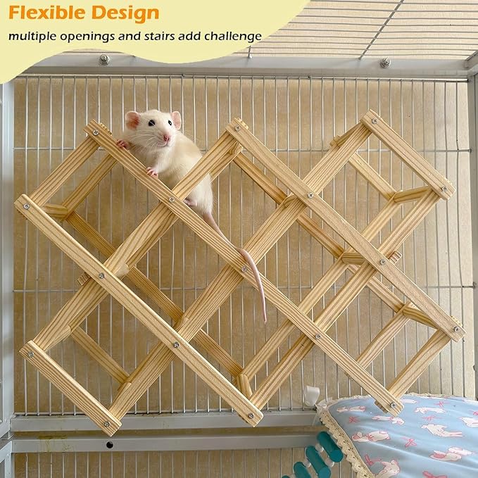 Kiln-Dried Wood Rat Climb Toy, Hanging Cage Ladder Activity (L, 1pc) | Natural Rat Cage Bridge, Multiple Openings & Directional Ramps Offer Challenges to Satisfy Rats' Instincts for Explore & Play