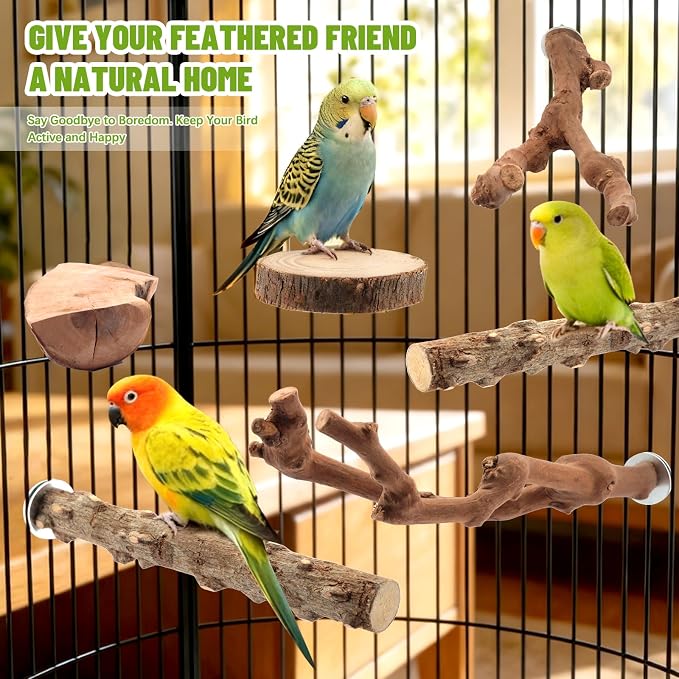 6 Pcs Natural Wood Bird Perch & Platform Set for Cage | Grapevine branches, prickly ash sticks & apple wood platforms; textured surface for foot health; easy wing-nut setup.