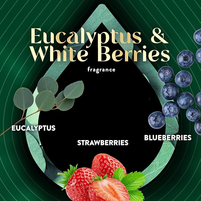 Air Wick Scented Oils 0+5 Eucalyptus & Wild Berries