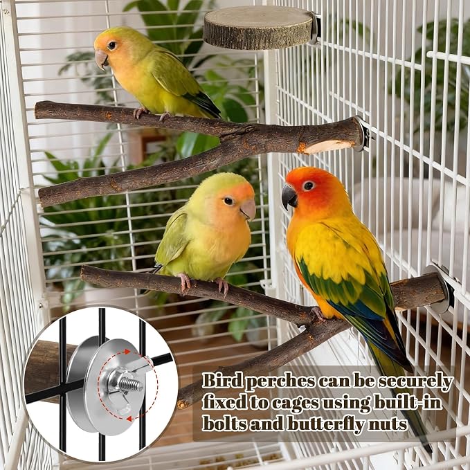 8 Pack 9 Inch Natural Wood Bird Perches for Cage, Wood Parrot Perch | Wooden Parrot Stand Platforms, Hardwood Branches, Climbing & Chew Toy for Bird Cage Accessories, Ideal for Parakeets, Budgies