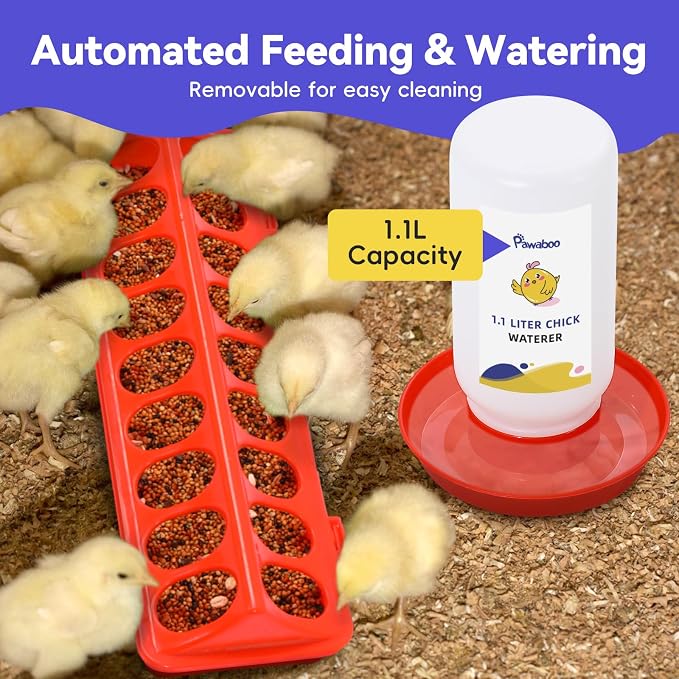 Pawaboo Chick Brooder Box for Chick Starter Kit, Black | Brooder Pen/Chicken Supplies Brooders Box with Chicks Perch Brooding Up to 15 Chicks, Duck and Quail