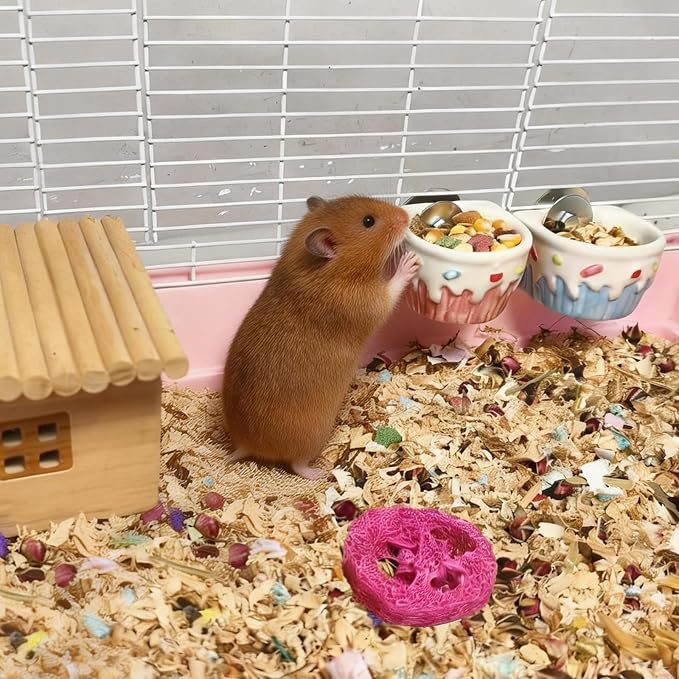 2 PCS Hamster Food Bowl Ceramic Hamster Food Water Dish Feeder | Cage Accessories,for Mice Hedgehog Gerbil,Hamster Water Bowl,Hamster Food Bowl,Hamster Feeder